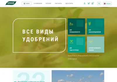 Снимок главной страницы bhz.ru