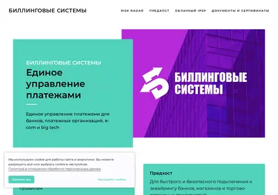 Снимок главной страницы bisys.ru