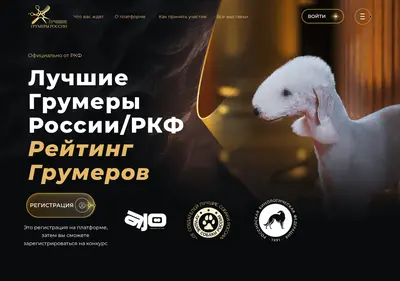 Снимок главной страницы brdgroomers.ru