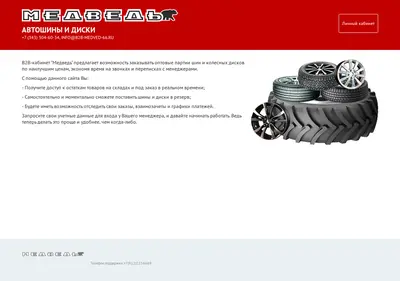 Снимок главной страницы b2b-medved-66.ru