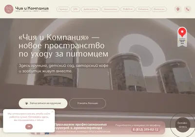 Снимок главной страницы chiaco.ru