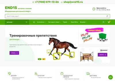 Снимок главной страницы end15.ru