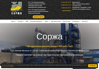 Снимок главной страницы bzsspb.ru