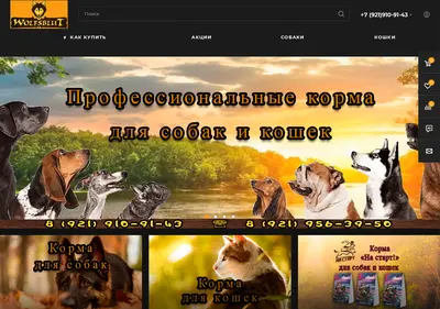 Снимок главной страницы wolfsblut.su