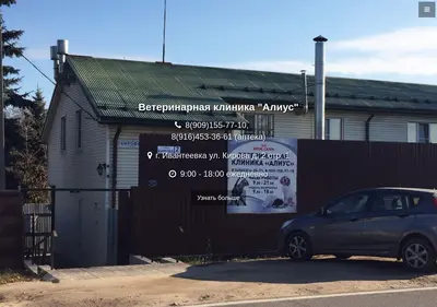 Снимок главной страницы aliusvet.ru