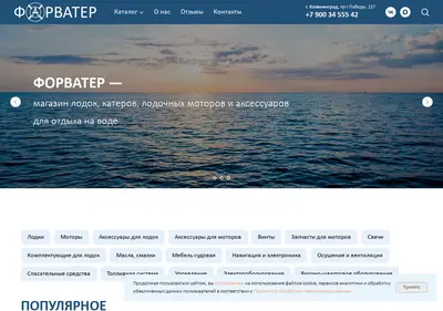 Снимок главной страницы 4-water.ru