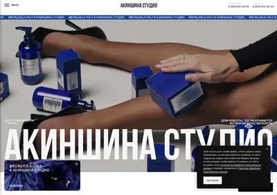 Снимок главной страницы akinshina-studio.ru