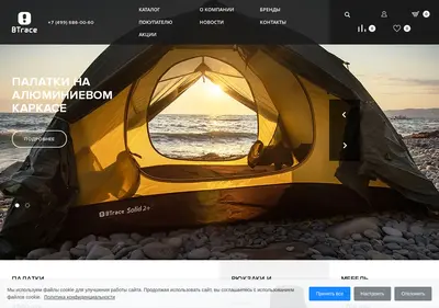 Снимок главной страницы btrace.ru