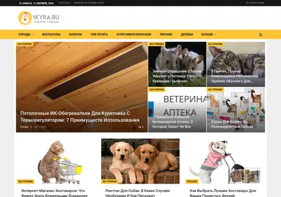 Снимок главной страницы 1kyra.ru