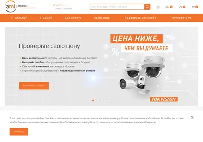 Снимок главной страницы ami-com.ru