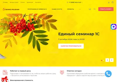 Снимок главной страницы br1c.ru