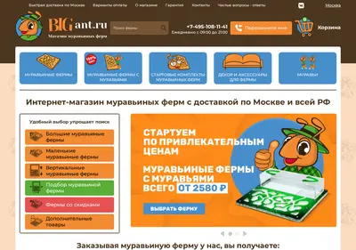 Снимок главной страницы big-ant.ru