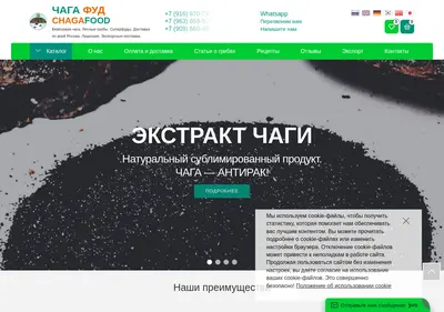 Снимок главной страницы chagafood.ru