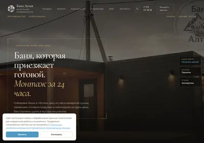 Снимок главной страницы bani-altaya.ru