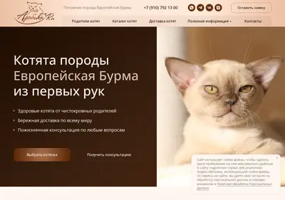 Снимок главной страницы arabicat.ru