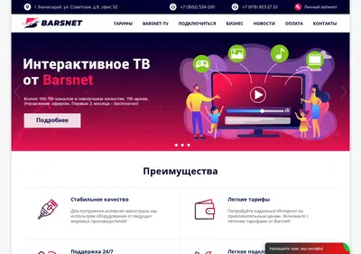 Снимок главной страницы bars-net.ru