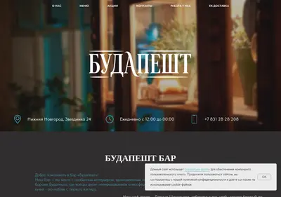 Снимок главной страницы budapestnn.ru
