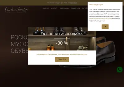 Снимок главной страницы carlossantos.ru