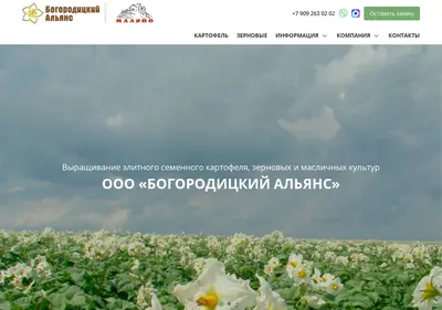 Снимок главной страницы bogoroditsk-alliance.ru
