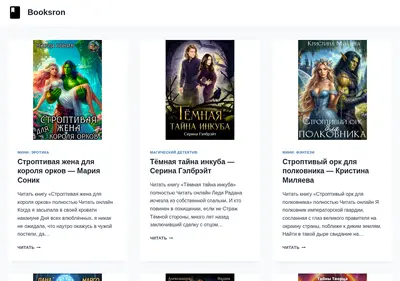 Снимок главной страницы booksron.ru