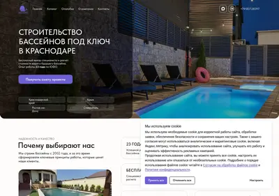 Снимок главной страницы basseinru.ru