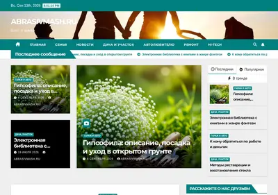 Снимок главной страницы abrasivmash.ru