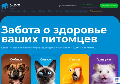 Снимок главной страницы center-slon.ru