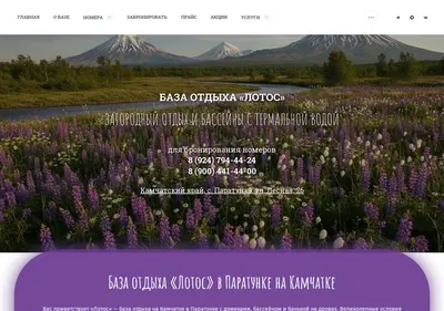Снимок главной страницы bazalotos.ru