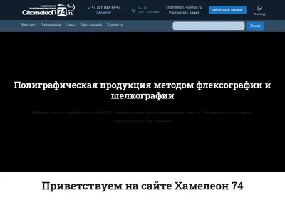 Снимок главной страницы chameleon74.ru