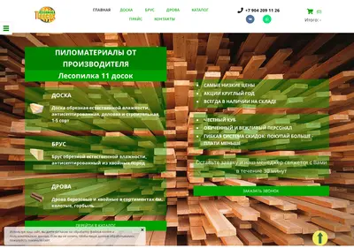 Снимок главной страницы 11dosok.ru