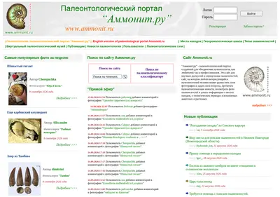 Снимок главной страницы ammonit.ru