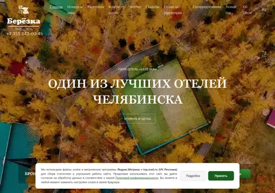 Снимок главной страницы berezka74.ru