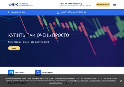 Снимок главной страницы bcswm.ru