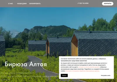 Снимок главной страницы biryuza-altaya.ru