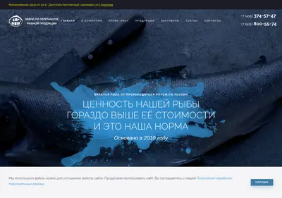 Снимок главной страницы bfish.ru