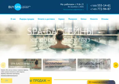 Снимок главной страницы buyspa.ru