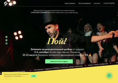 Снимок главной страницы academymusical.ru