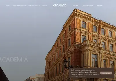 Снимок главной страницы academia-group.ru