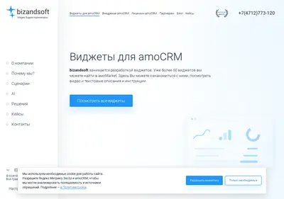 Снимок главной страницы bizandsoft.ru