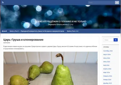 Снимок главной страницы ammo1.ru