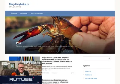 Снимок главной страницы blogdlarybaka.ru