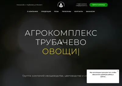 Снимок главной страницы agrocomt.ru