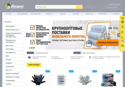 Снимок главной страницы barsnsk.ru
