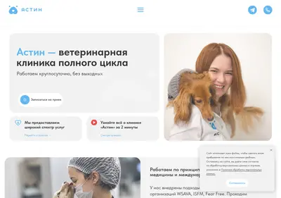 Снимок главной страницы astinvet.ru