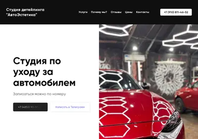 Снимок главной страницы avtoestetika76.ru