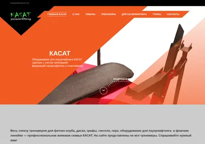 Снимок главной страницы kasat.su