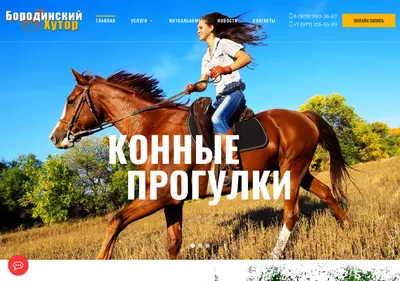 Снимок главной страницы borhorse.ru