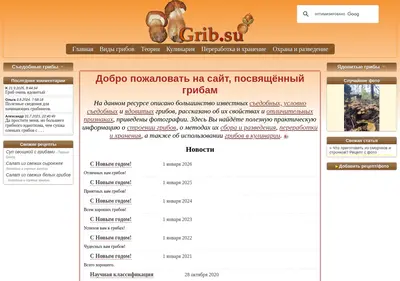 Снимок главной страницы grib.su