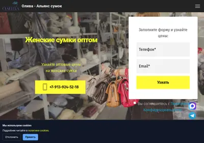 Снимок главной страницы bags-opt.ru