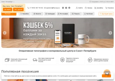 Снимок главной страницы flycopy.ru